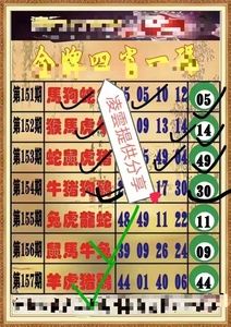 2024年12月 第119页